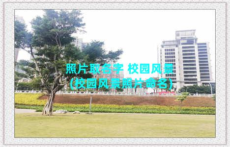 照片取名字 校园风景(校园风景照片命名)